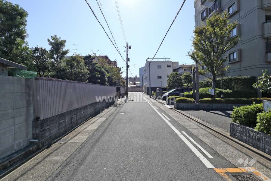 敷地東側の前面道路（北側から)