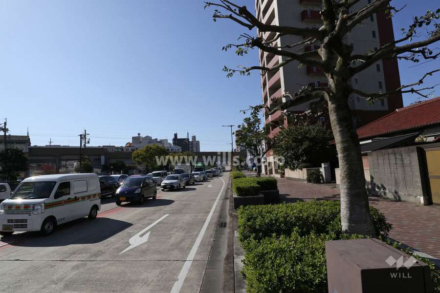 敷地南東側の前面道路（国道19号線）