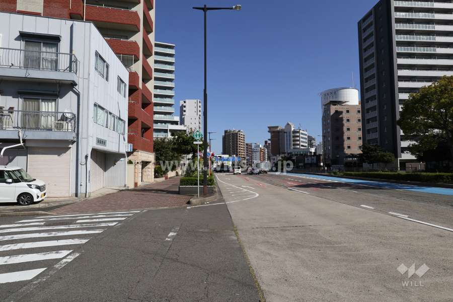 敷地南東側の前面道路（国道19号線）