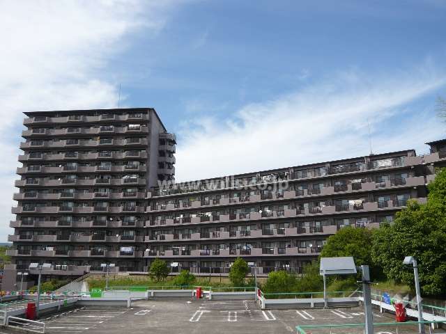 パインフィールド緑地公園の外観（南側から）