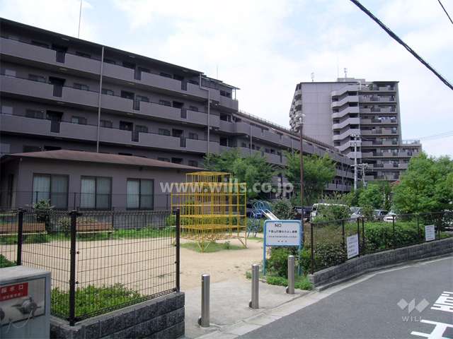 パインフィールド緑地公園の（北側から）