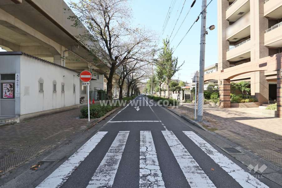 敷地南側の前面道路