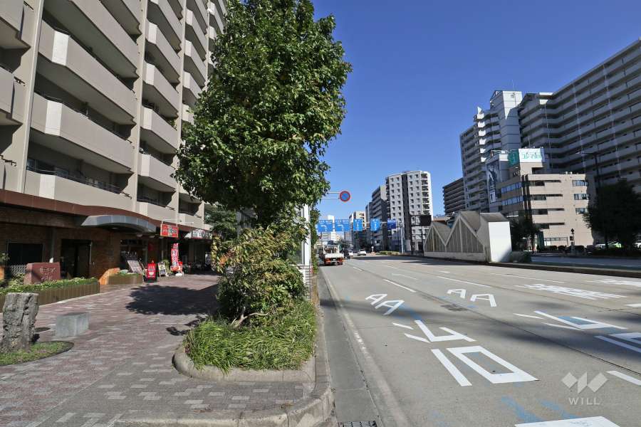 敷地南東側の前面道路（南西側から)