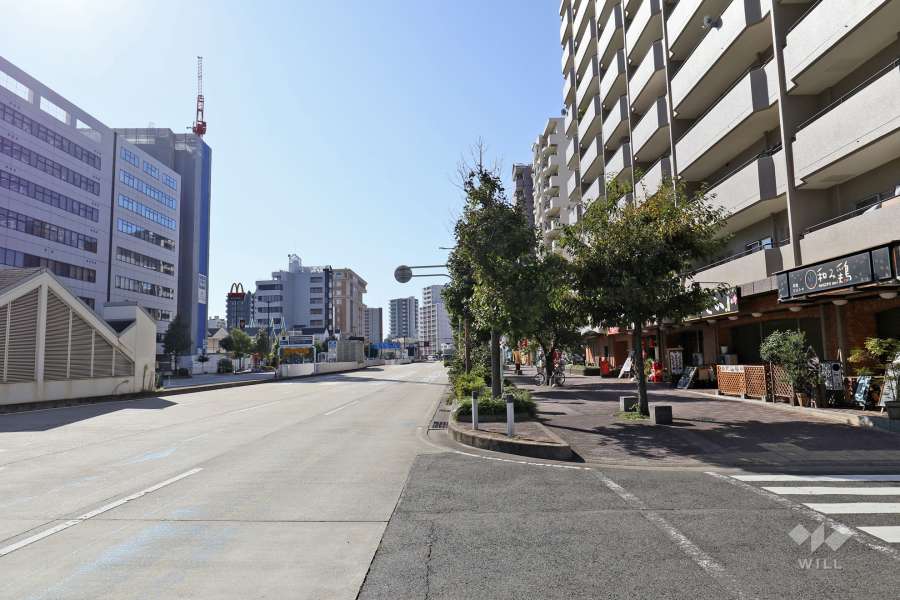 敷地南東側の前面道路（北東側から)