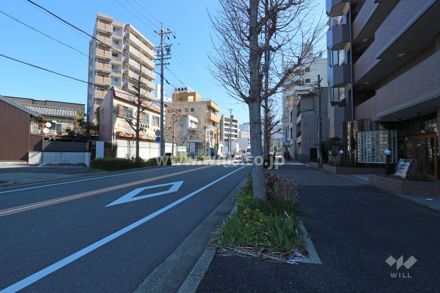 敷地北東側の前面道路