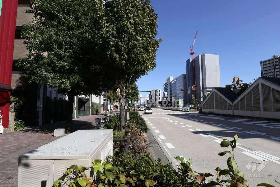 敷地南東側の前面道路