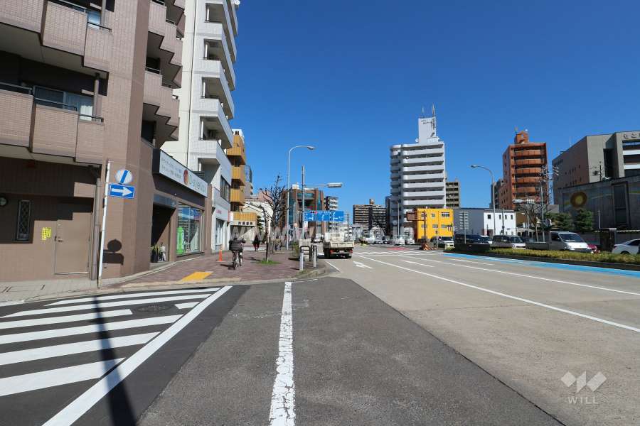 敷地東側の前面道路（国道19号線）