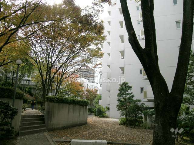 敷地内はたいへん緑豊かです。