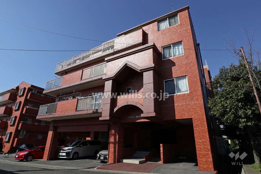 アベニュー楠町Ａ棟の外観（北東側から）