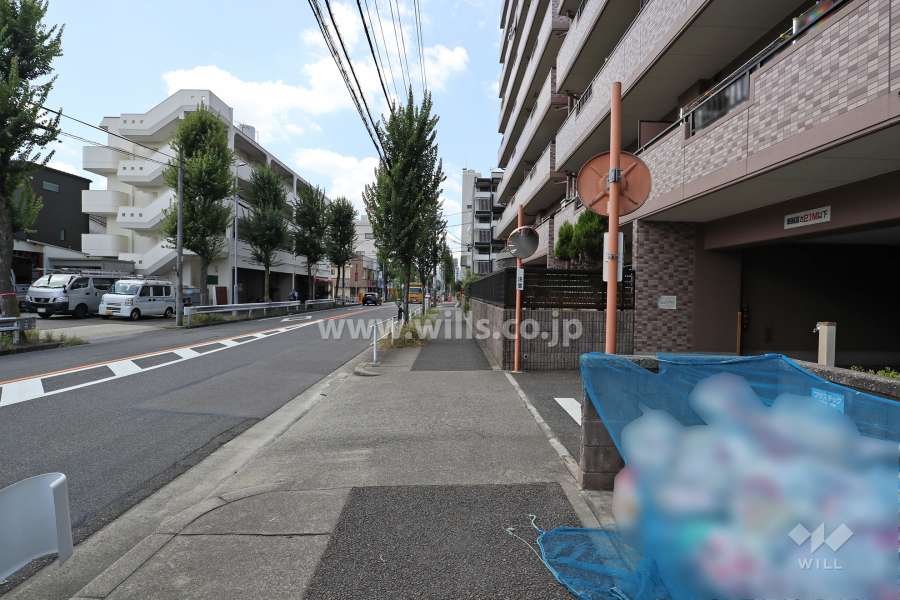 敷地南側の前面道路