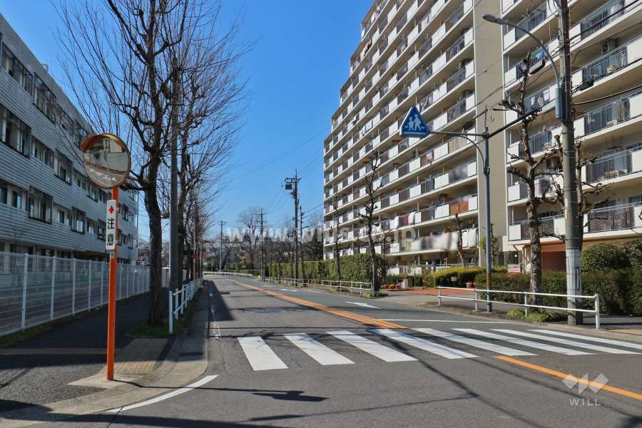 敷地南側の前面道路（東側から）