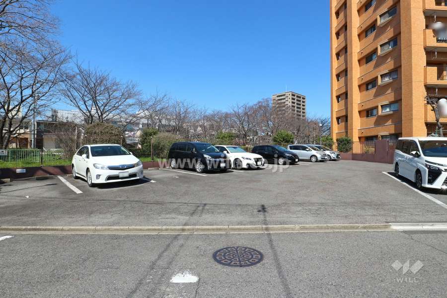 駐車場出入り口・敷地内駐車場（屋外平面式）