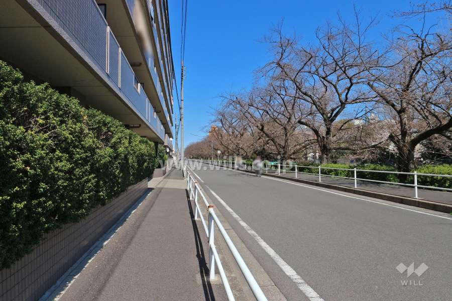 敷地南東側の前面道路（南西側から）