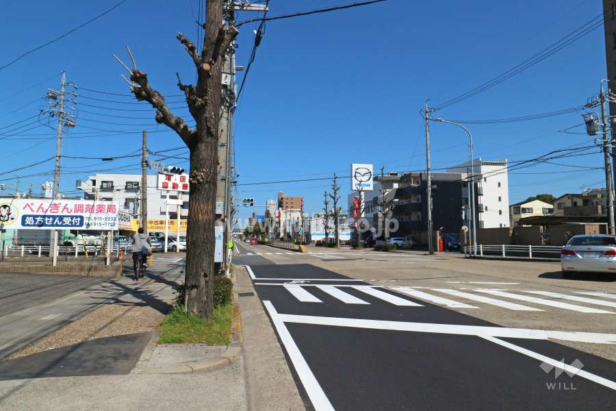 敷地北西側の前面道路