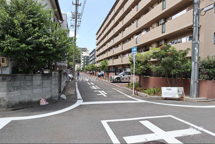 敷地南西側の前面道路