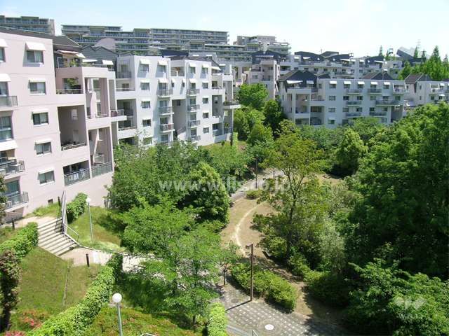 敷地内はたいへん緑豊かです。