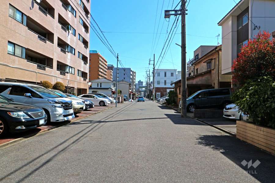 敷地南側の前面道路（西側から）