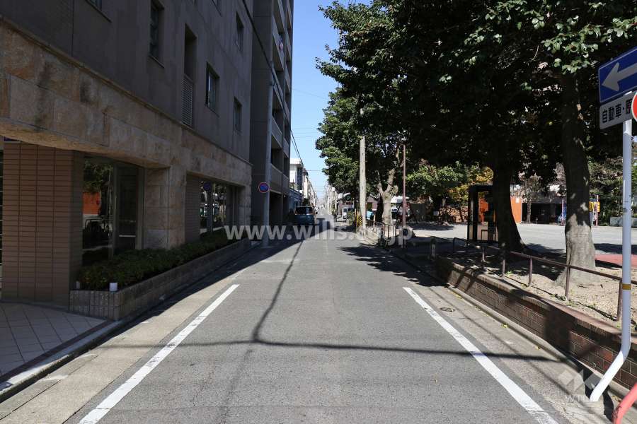 敷地東側の前面道路