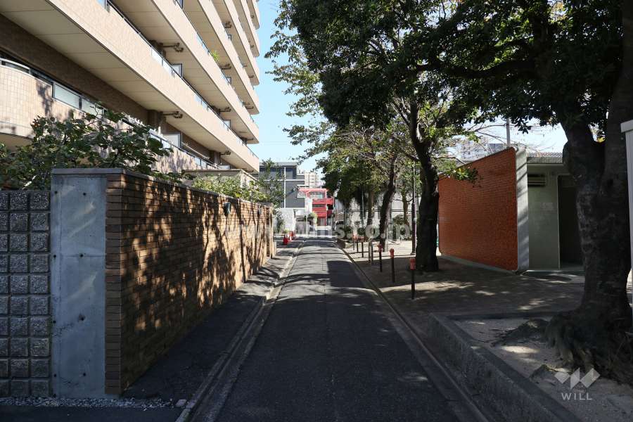 敷地南側の前面道路（敷地南側には公園があります。）