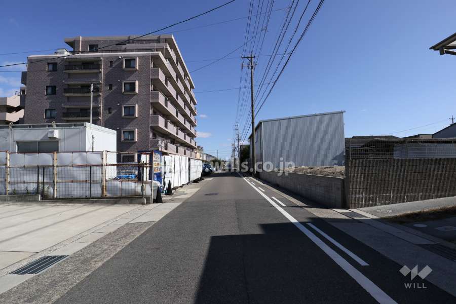 敷地南側の前面道路（西側から）