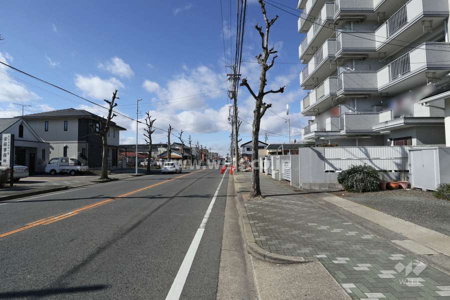 敷地南西側の前面道路