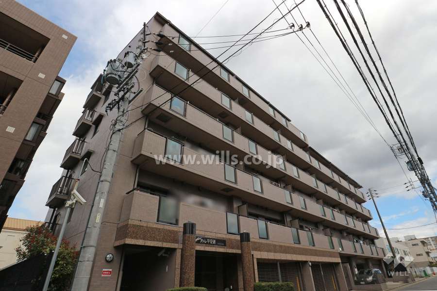 サンマンションアトレ平安通の外観（南西側から）