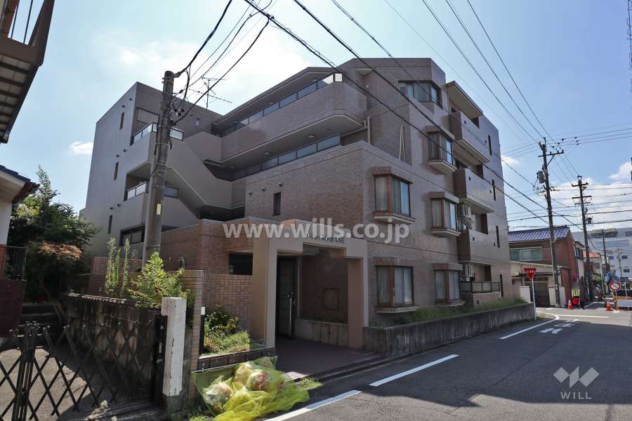 ラキャッスル21鳩岡の外観(北西側から)