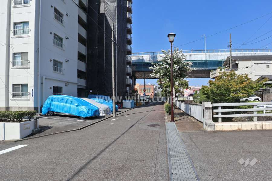 敷地北側の前面道路(東側から)