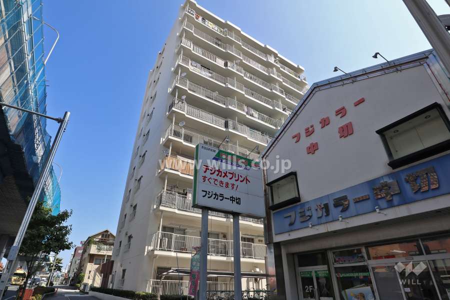 コドミニオン鳩岡の外観(南側から)
