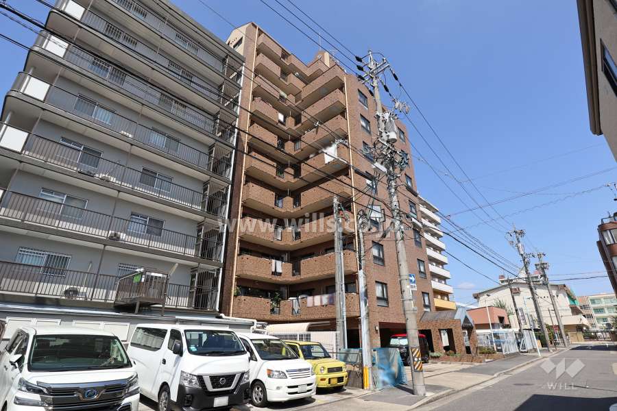 サンピボット鳩岡の外観（南東側から）