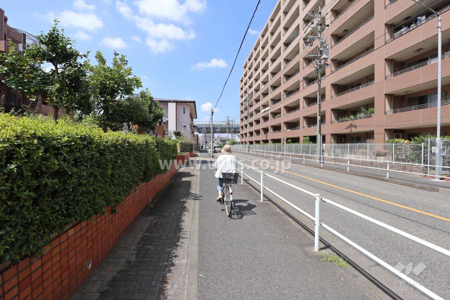 敷地南側の前面道路。敷地西側、約60mには『名古屋高速1号楠線』が通っています。