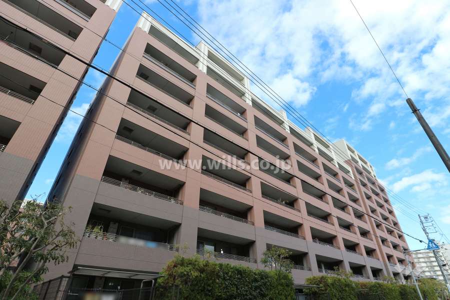 メリアF棟の外観（南西側から）