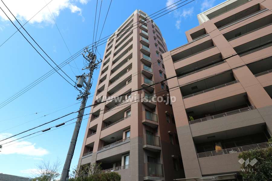 メリアD棟の外観（南東側から）