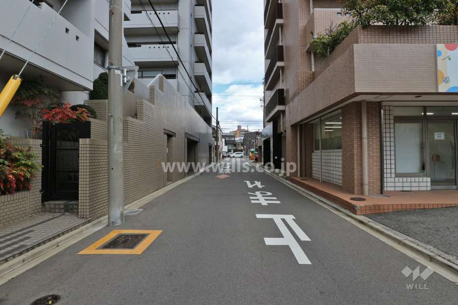 敷地北西側の前面道路（南西側から）