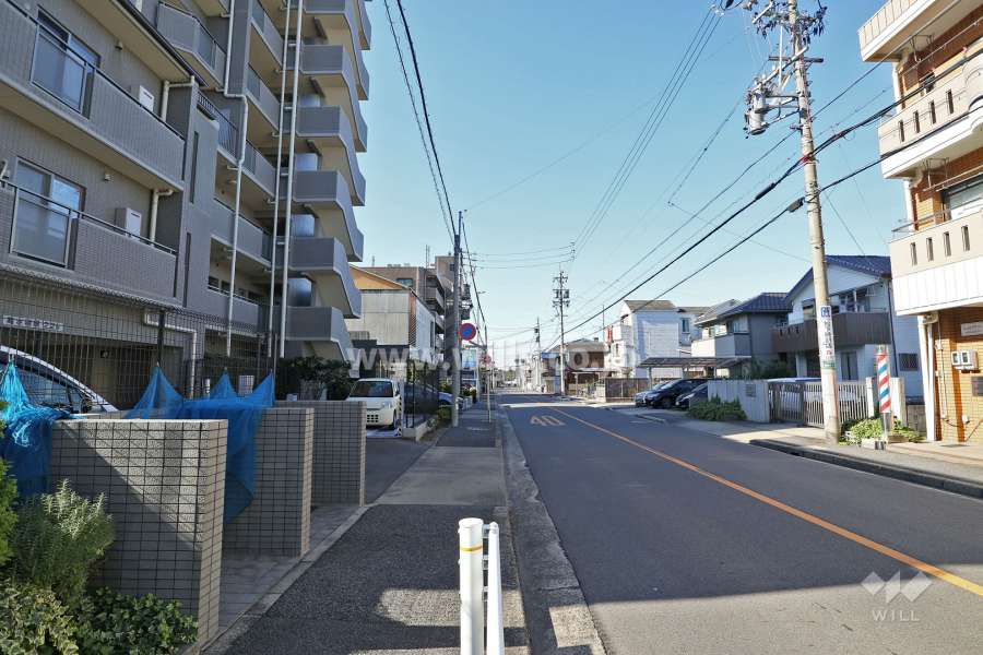 敷地北側の前面道路