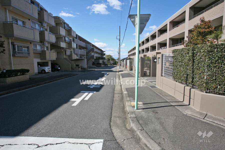 敷地南側の前面道路(東側から)