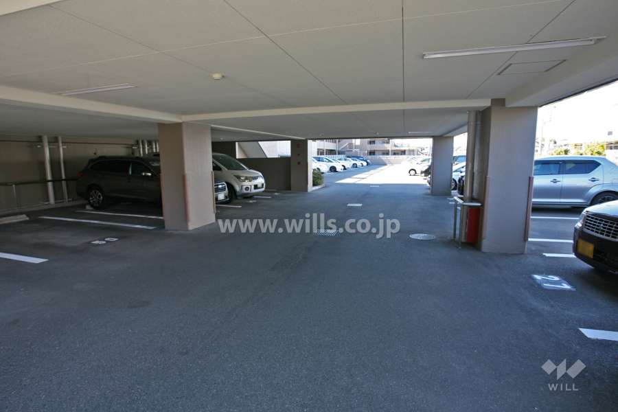 敷地内駐車場(屋内平面式)