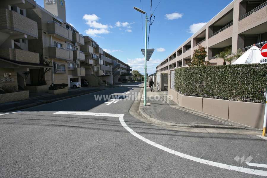 敷地北側の前面道路(東側から)