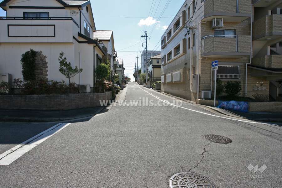 敷地東側の前面道路(北側から)