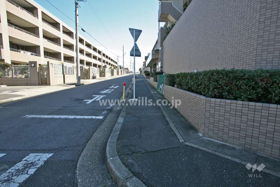 敷地北側の前面道路(西側から)