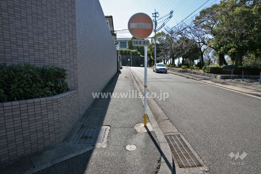 敷地西側の前面道路(北側から)