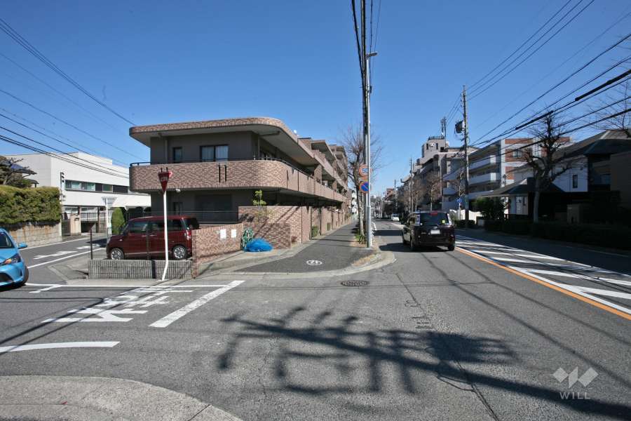 敷地南側の前面道路(西側から)