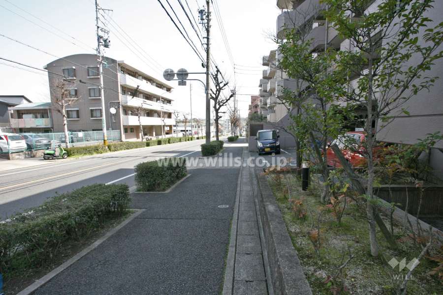 敷地北側の前面道路(西側から)