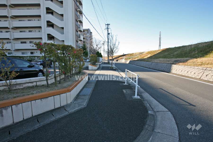 敷地西側は天白川が流れています。