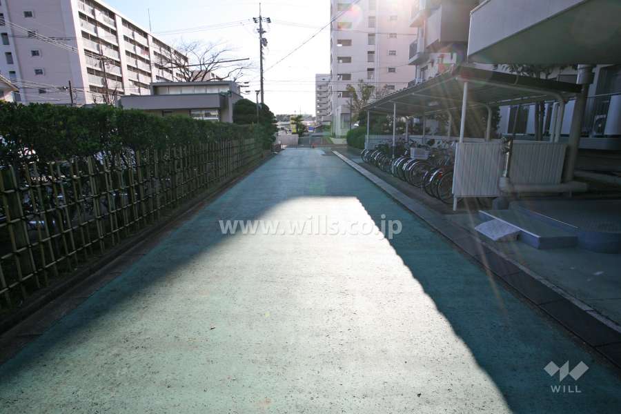 敷地内北側の通路