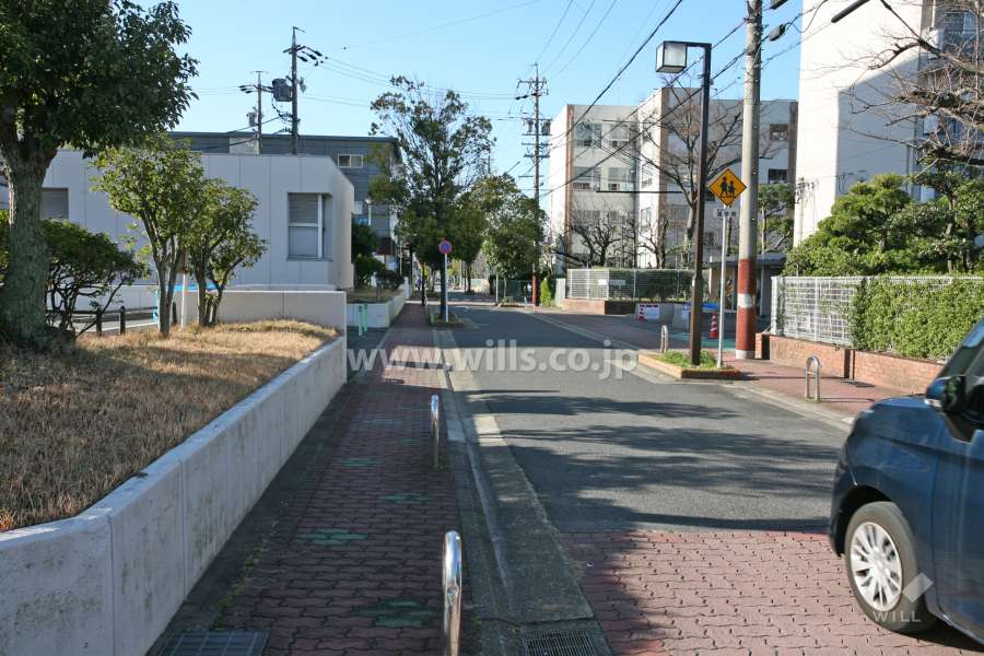 敷地東側の前面道路（北側から）