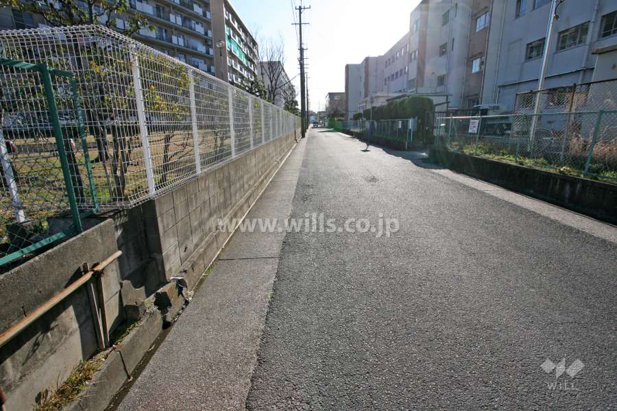 敷地南側の前面道路（西側から）