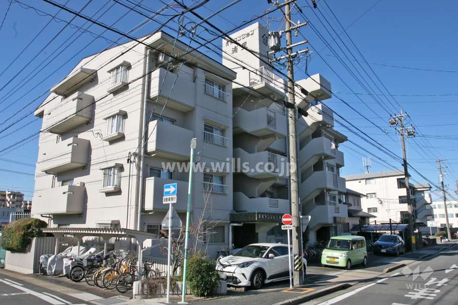 真栄マンション浦里の外観(東側から)