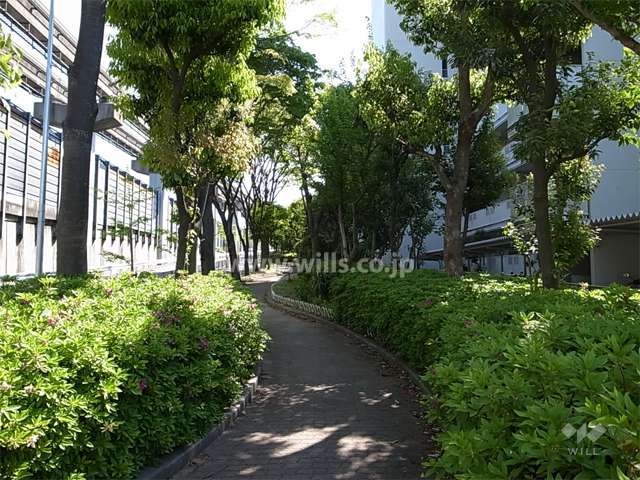 敷地北側の隣接する山田東第二緑地