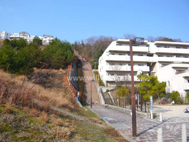 敷地北側の道に続く長い階段があります。